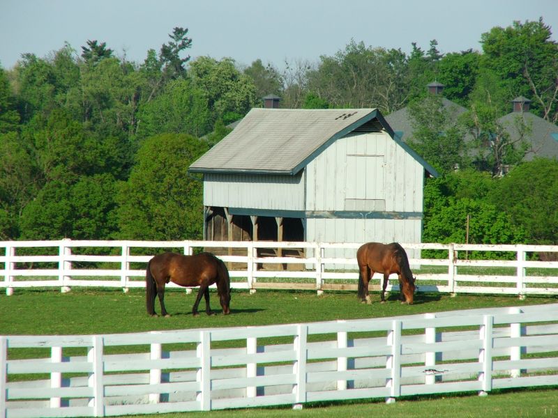 Horse Enclosure Installation